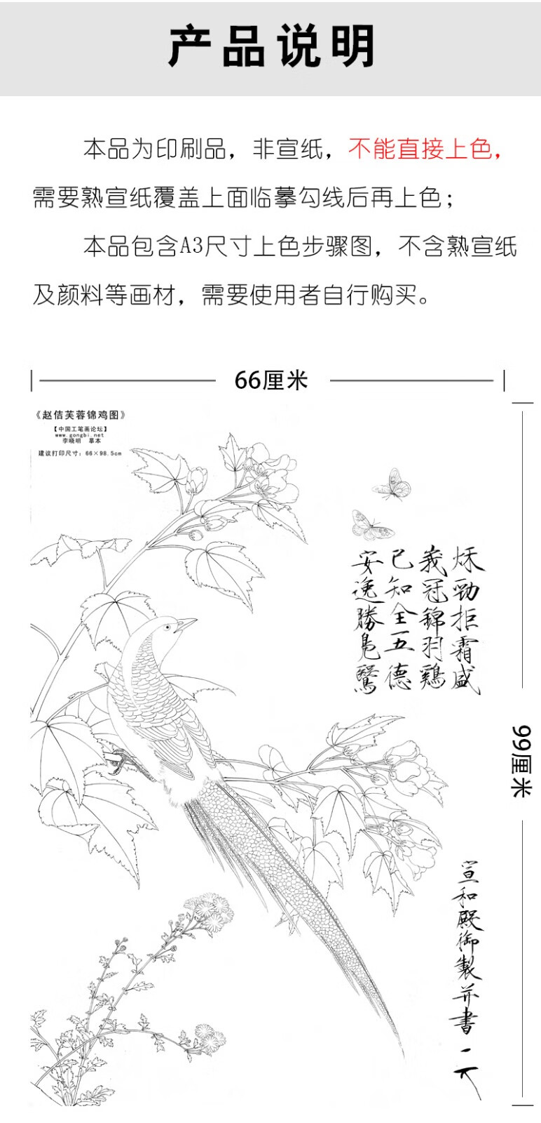 李晓明工笔画白描底稿芙蓉锦鸡四尺原作大小66×98厘米花鸟线稿含a3