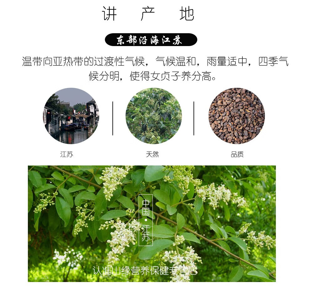 吉雪 女贞子 女贞实 冬青子 白蜡树子 泡茶泡酒煲汤 女贞子500g