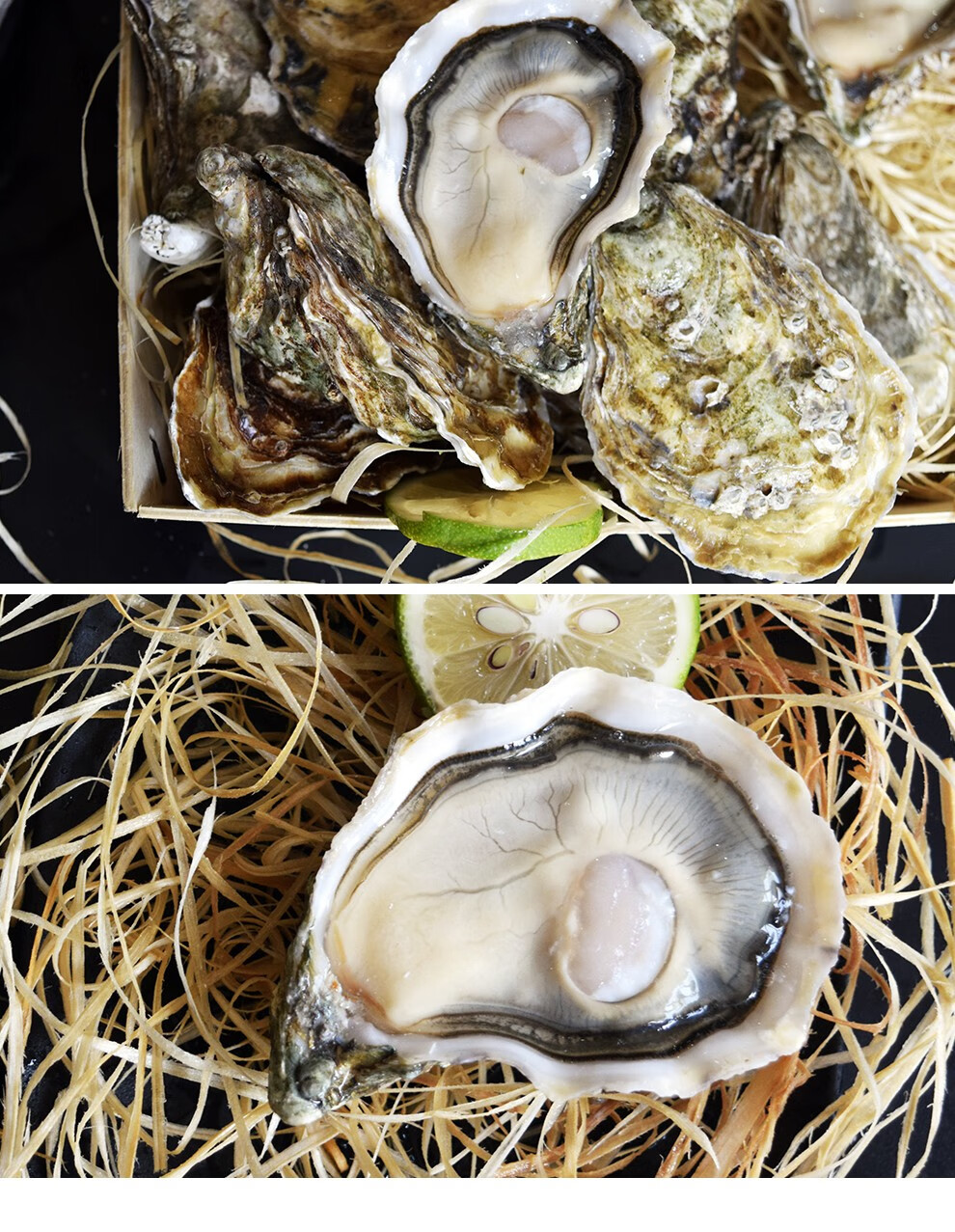 蚝门法国进口生蚝皇御生蚝鲜活生鲜贝类新鲜牡蛎刺身级海蛎子n1级12只