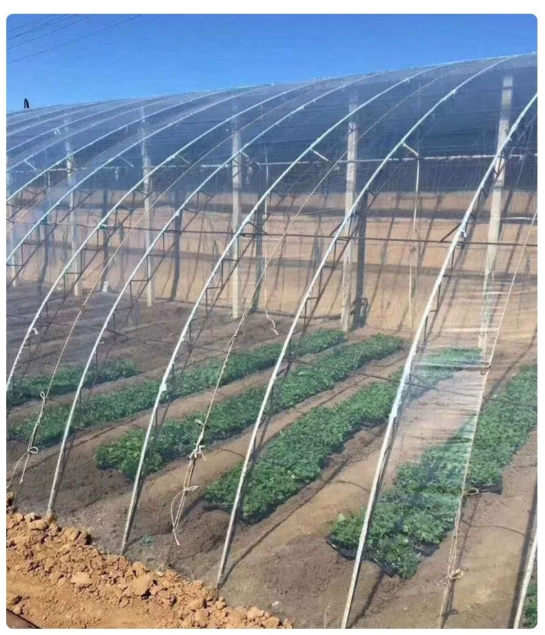 po膜长寿加厚反光膜养殖食用菌大棚燕塘防渗养鸡农用薄膜 塑料薄膜 8s