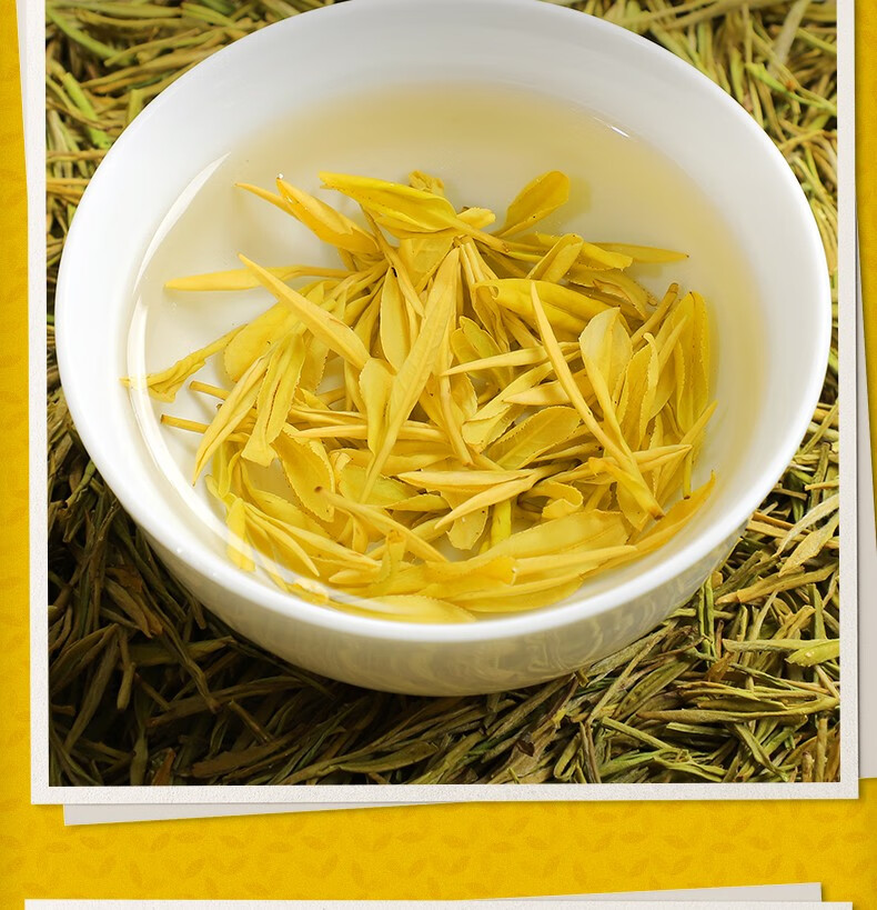 陈一凡黄金芽明前特级茶叶绿茶2021新茶春茶黄金叶安吉原产白茶黄金