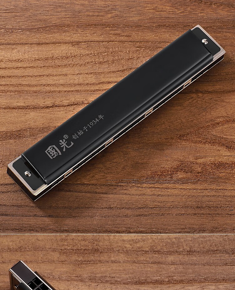 上海国光24孔复音abcdefg调成人初学者专业演奏级高级口琴x0a7调套装