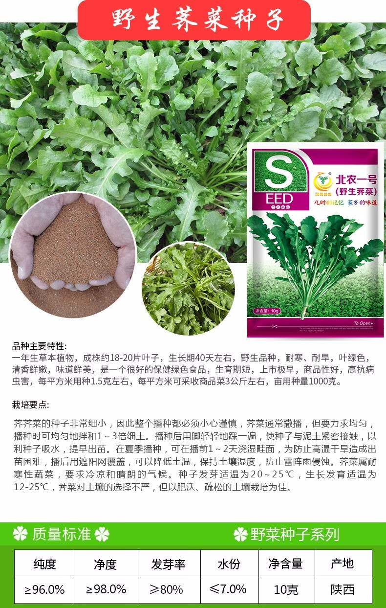 凤鸣雅世 北农一号野生荠菜种子菜籽荠荠菜种籽四季大