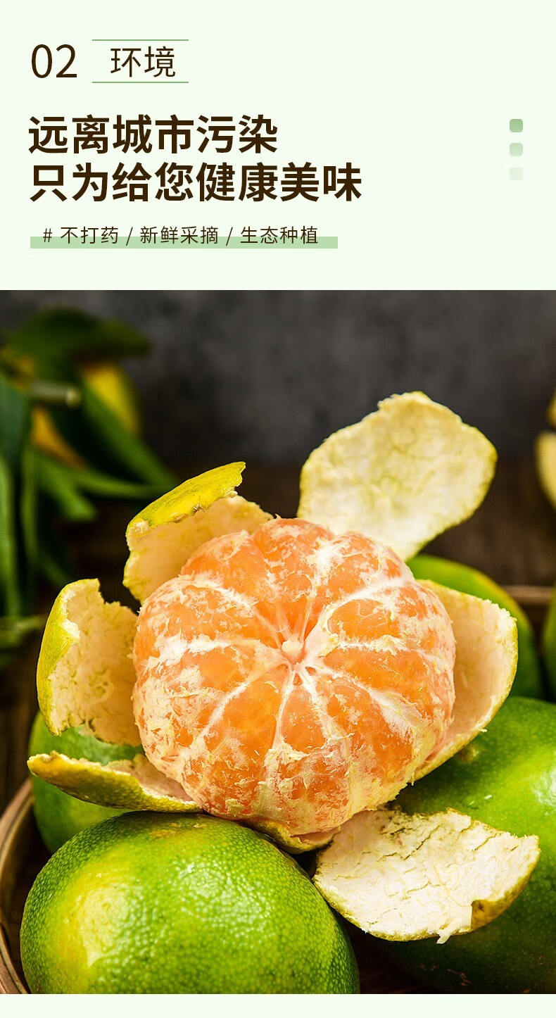 云南青皮蜜桔 早青桔子 酸橘子 当季新鲜孕妇水果 中大果带箱3斤