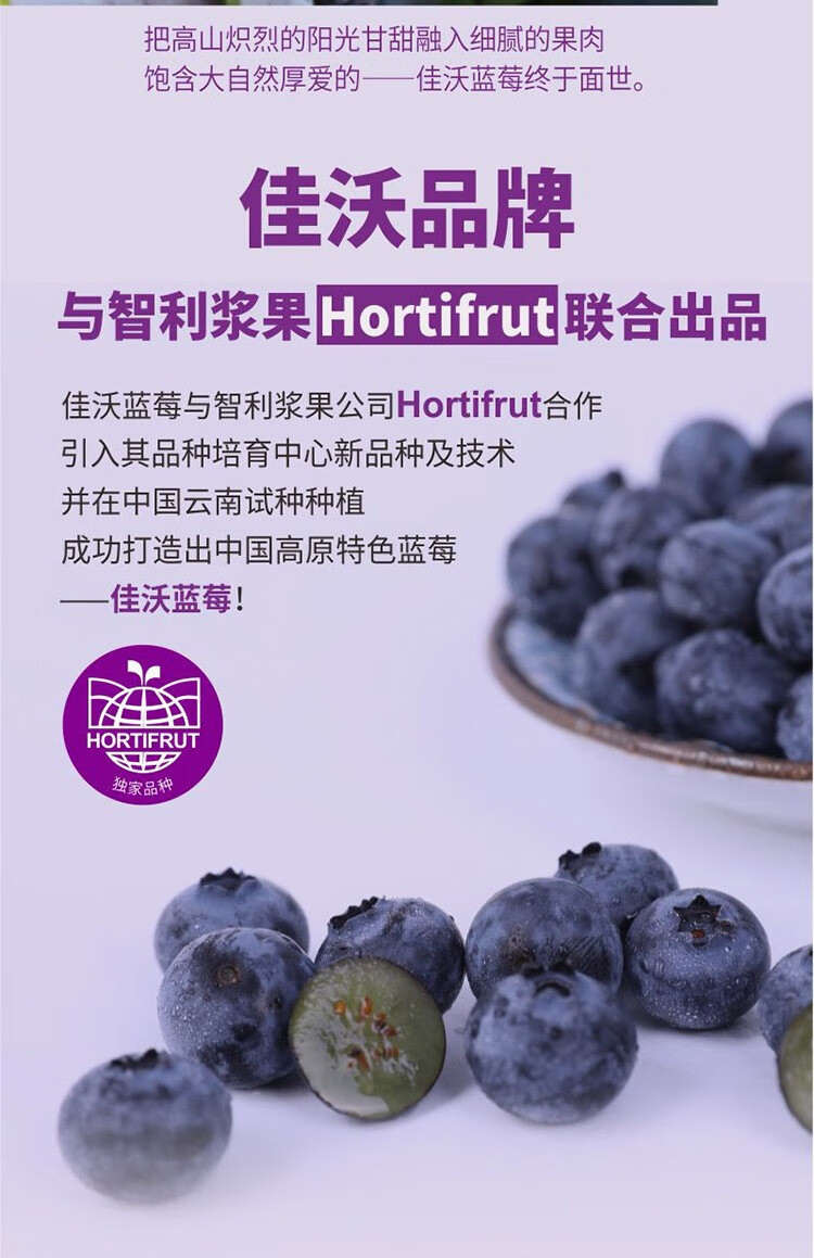 顺丰快递 joyvio佳沃 云南精选蓝莓 新鲜水果125g/盒 佳沃4盒大果