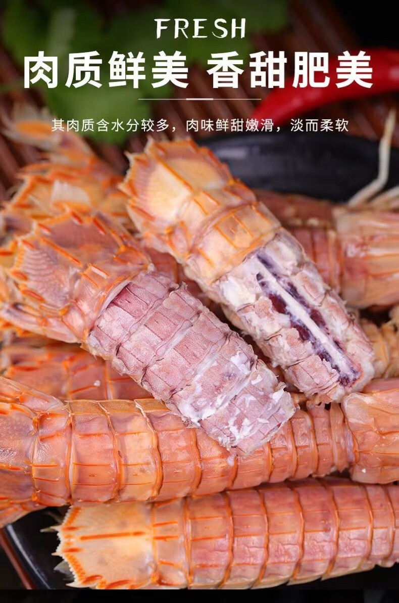 欧因皮皮虾鲜活虾爬子濑尿虾爬爬虾海鲜水产活虾皮皮虾1斤