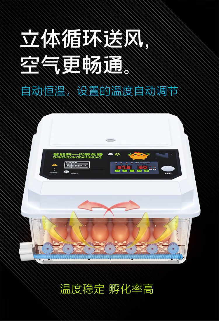 孵化箱鸽子孵蛋器孵蛋机 6枚单电【温度显示】【图片 价格 品牌 报价