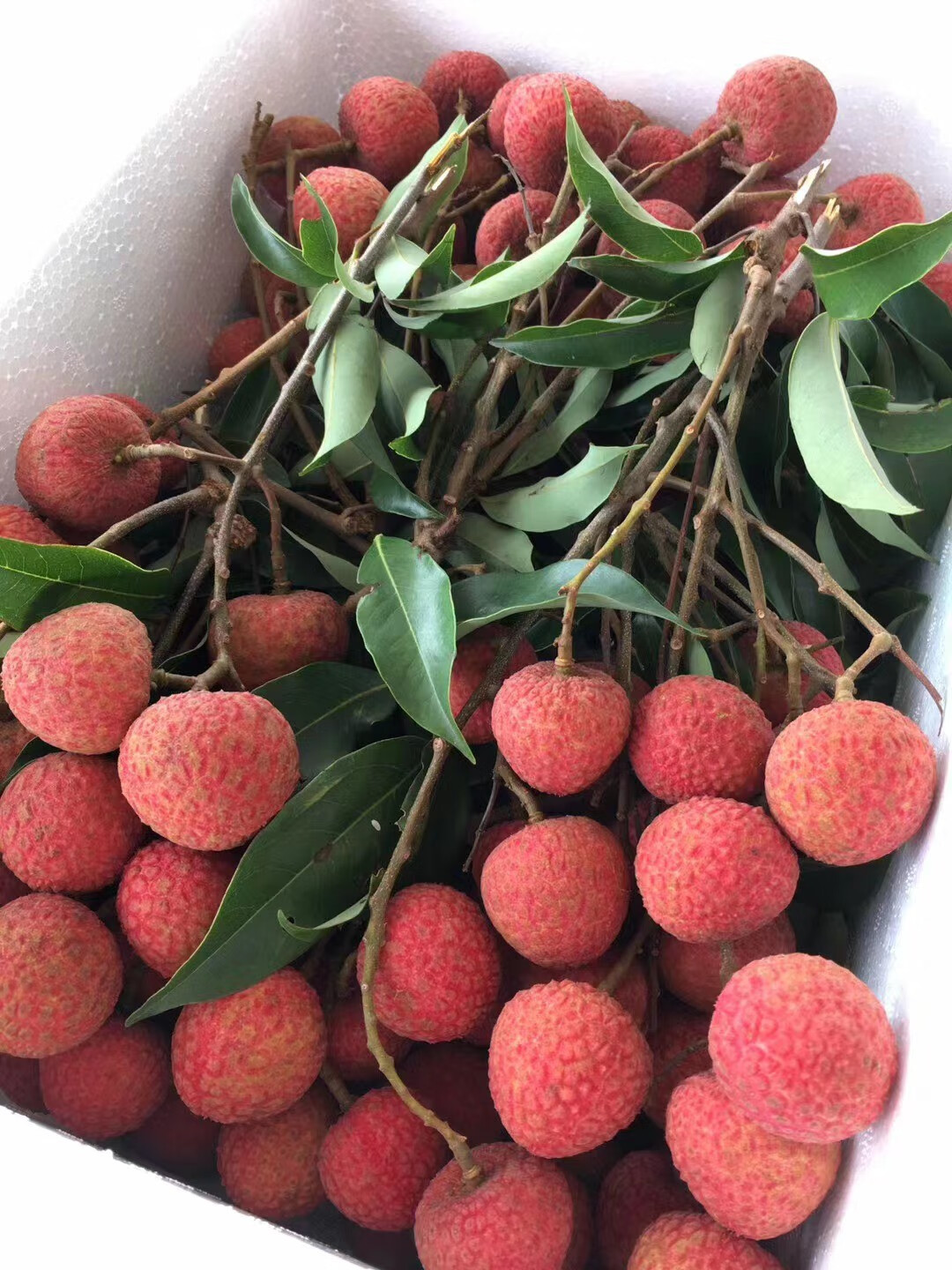 青樱红荔顺丰直达高州白糖罂荔枝香甜多汁当季热带水果礼品盒装3斤