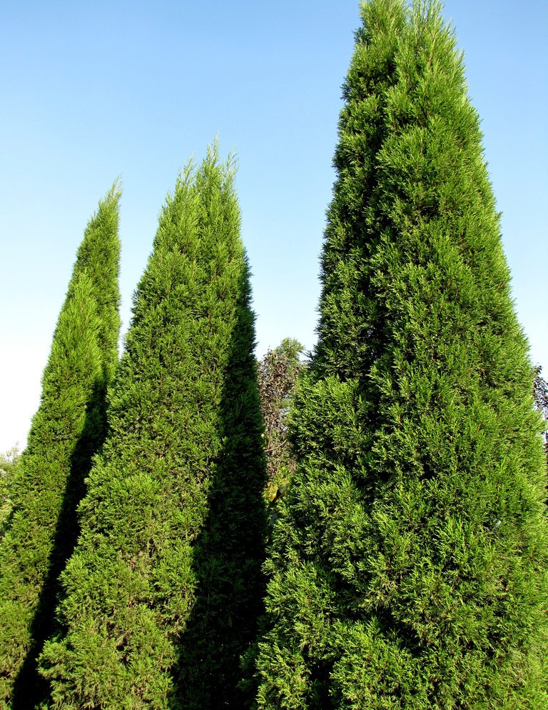 花中酷 农民老史 欧悟 花幽谷 合元景 林居金禾 元井汇(yuanjinghui)
