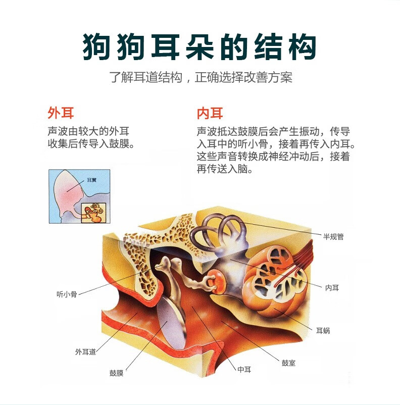 鑫安滴耳液猫耳螨治疗药清洗液宠物专用狗狗泰迪猫咪耳朵清洁用品
