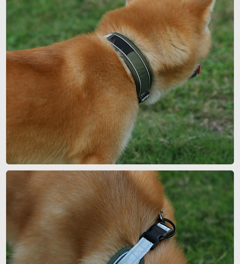 玄鸟专业宠物项圈狗圈小型犬脖圈大型犬颈圈防勒中型泰迪户外用品酒