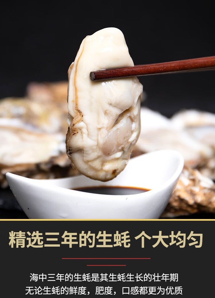 生蚝 海蛎子 青岛鲜活生蚝 2000g多规格 袋装 海鲜水产 烧烤好食材 xl