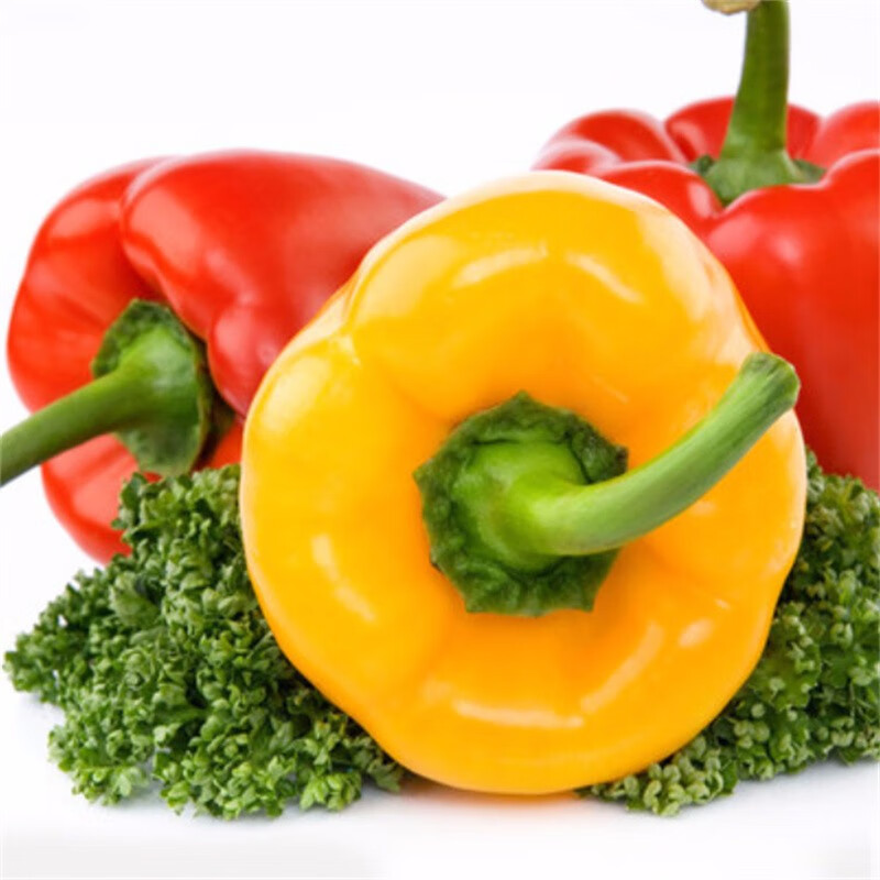 山东寿光新鲜灯笼彩椒圆辣椒五彩红黄水果甜椒太空椒即食蔬菜
 6斤