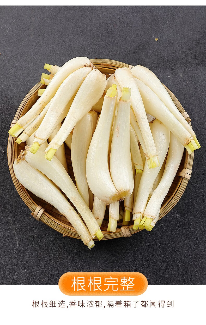 寻味君新鲜蕌头现挖农家自种荞头炒菜蕌头蔬菜3斤装
