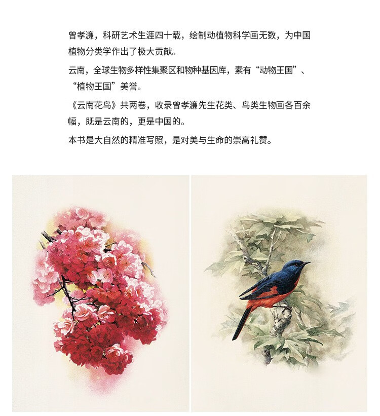 《【可选】读库 花叶 曾孝濂作品集 科学植物画 科学生物画套装《花叶