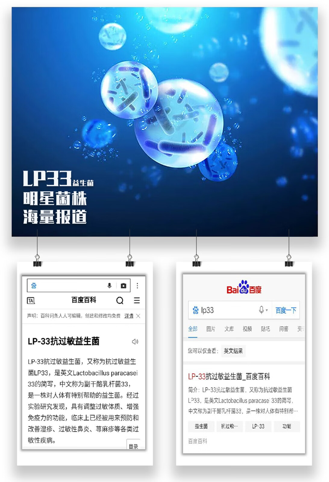 天根乐-益根敏-副干酪乳杆菌lp33复合粉 鼠李糖杆菌gg 益生菌粉 2022