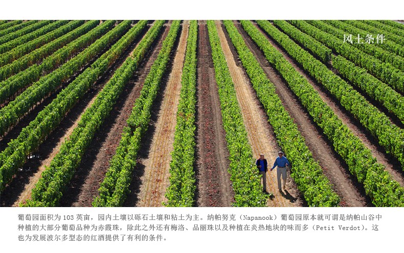 多米纳斯红酒怎么样(意大利多斯卡纳干红葡萄酒)