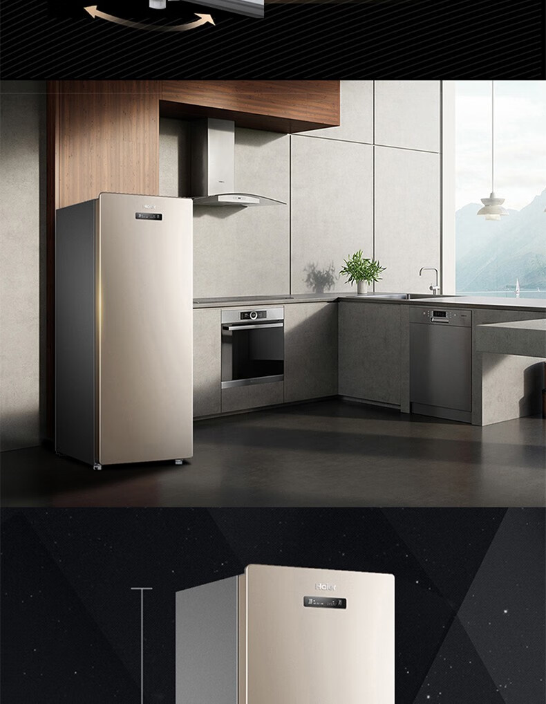 海尔立式冰柜全冷藏冷冻抽屉式侧开门冷冻柜家用 节能保鲜冷柜厨房