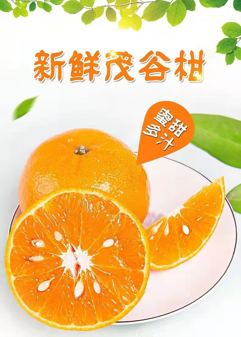 福建茂谷柑中大果应季新鲜水果现摘5斤特大果