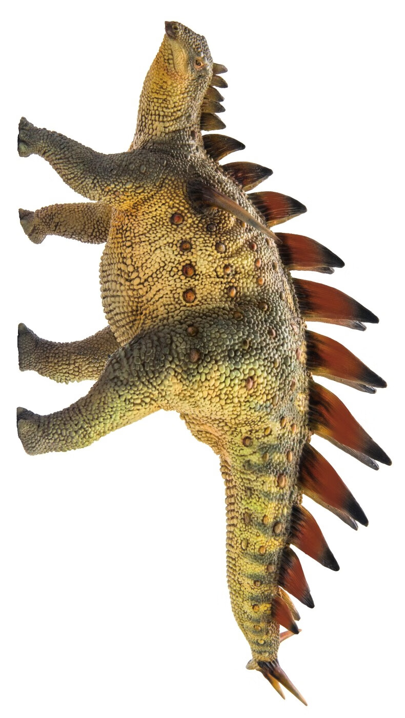 pnso恐龙大王成长陪伴模型34沱江龙奇川