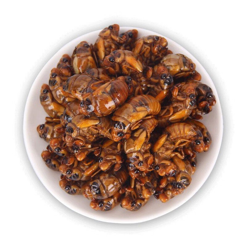 轻恋顺丰新鲜知了猴金蝉爬叉蝉金蝉子知了龟唐僧肉山东特产1kg2斤