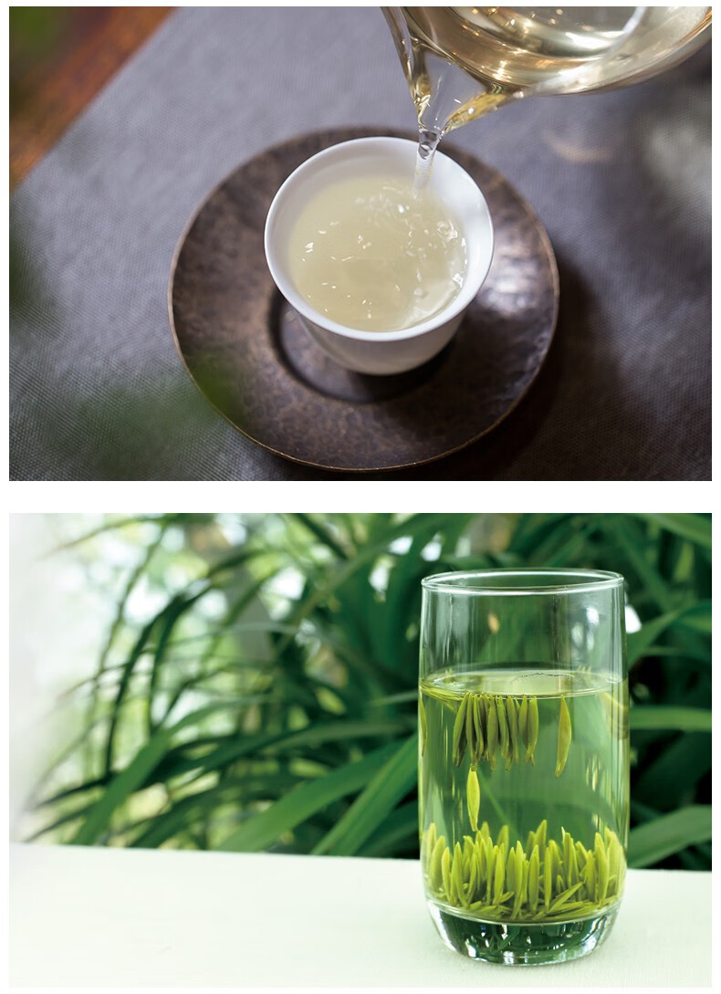 珍稀绿茶2022新茶重庆特产茶叶定心境界50g重庆绿茶春茶明前茶高山独