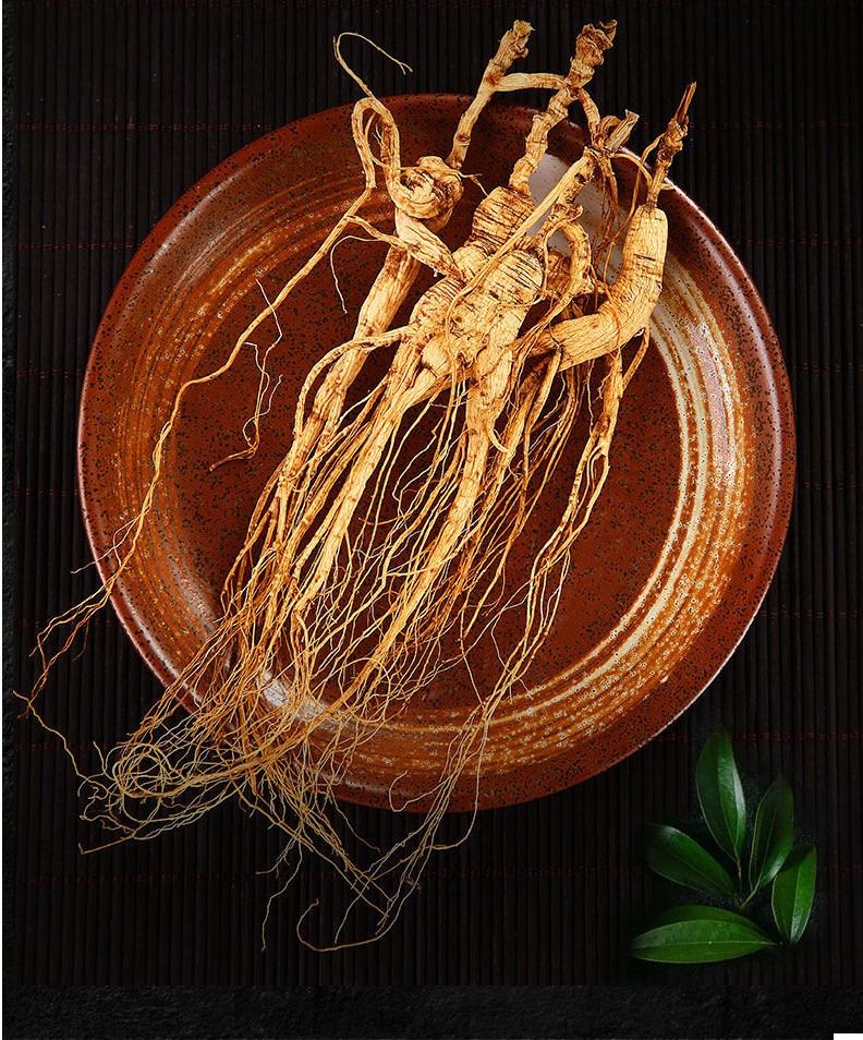 长白山人参林下野山参整枝17年野生鲜野山参10支15g20g