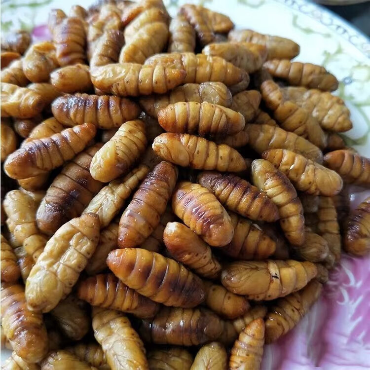 【京鲜达】蚕蛹新鲜鲜活桑蚕蛹冷冻小蚕桑蚕黄金蛹金丝蛹 4斤【图片