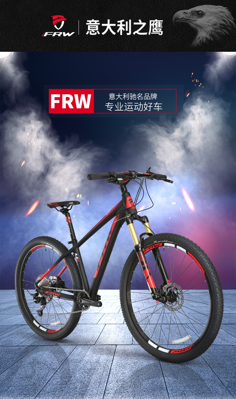 进口中国全球十大自行车品牌排行榜frw辐轮王男女成人变速单车航太