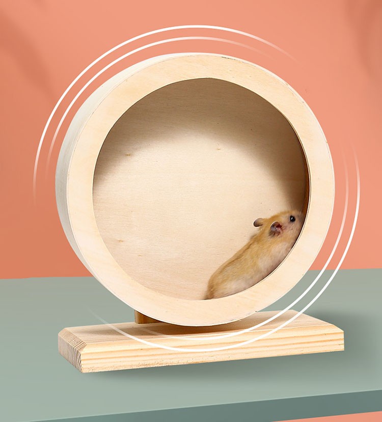兰衍 跑轮 小宠物玩具木质仓鼠跑轮金丝熊滚轮刺猬龙猫荷兰猪跑球 1件