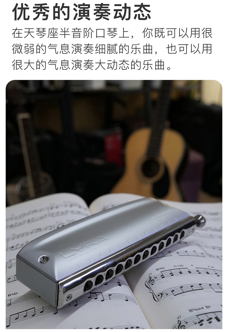 孔声天琴座半音阶口琴12孔lyra金属琴格成人初学专业高端演奏级乐器12