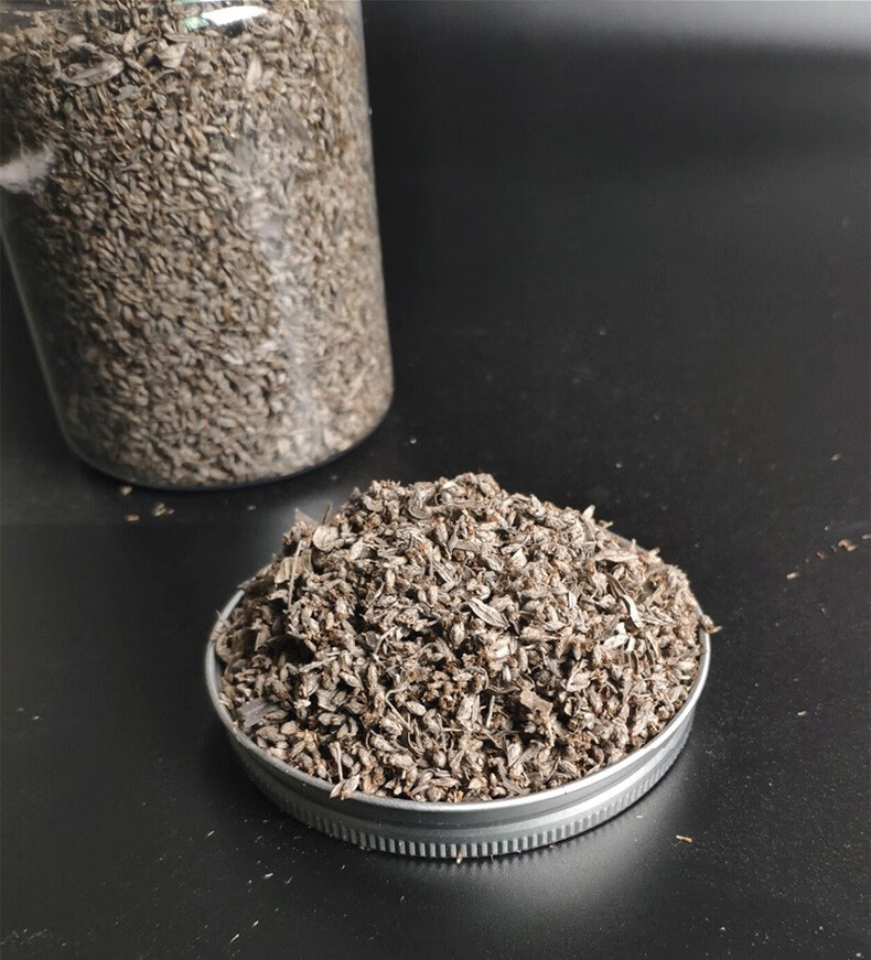 益群艾 蕲艾籽艾草艾叶 种子 艾草种植食用香草艾苗 蕲艾籽一袋(10g