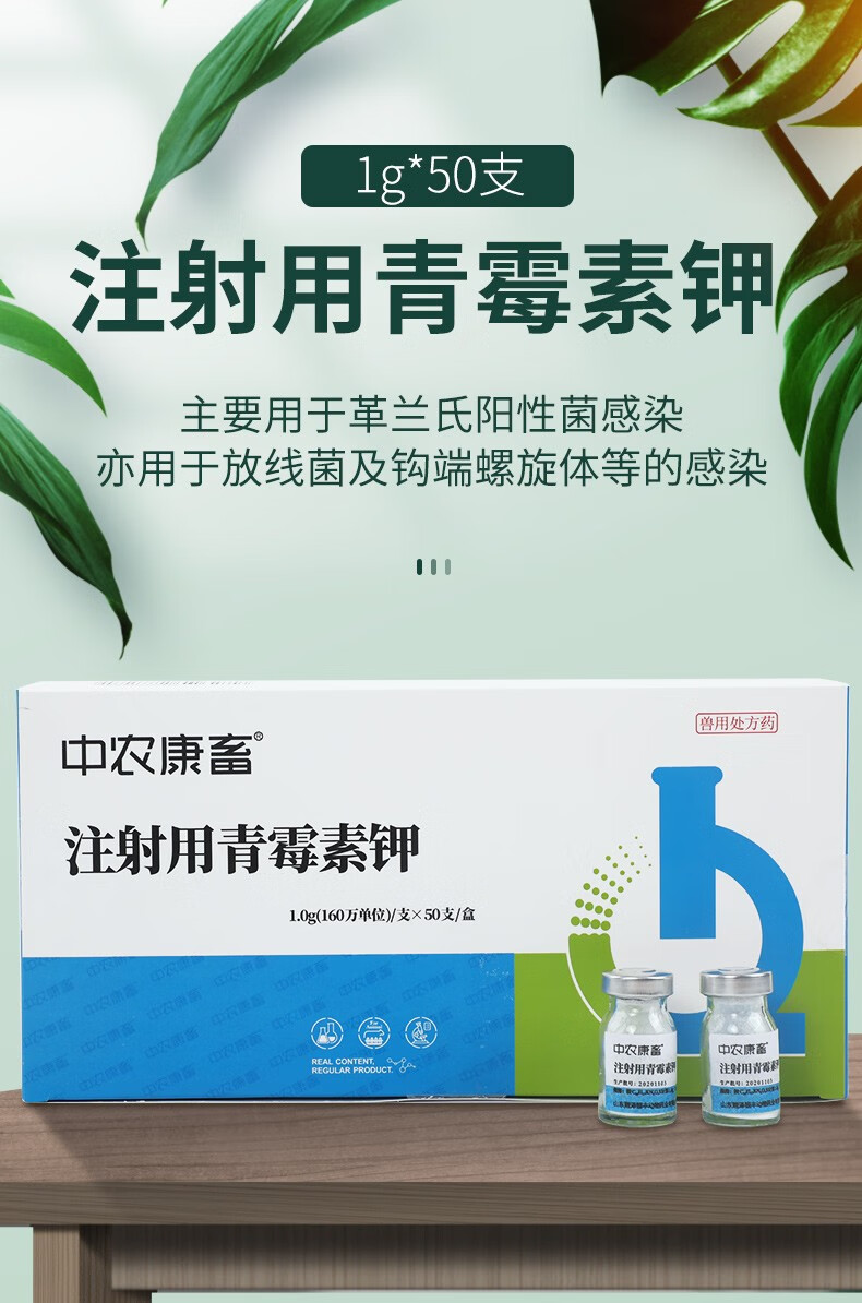 中农康畜 兽药青霉素钾160万单位兽用猪药兔鸡药禽药牛羊药 青霉素钾
