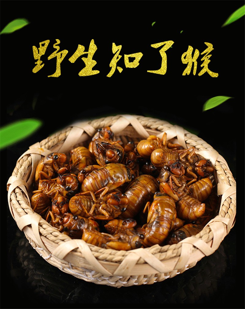 轻恋顺丰新鲜知了猴金蝉爬叉蝉金蝉子知了龟唐僧肉山东特产1kg2斤