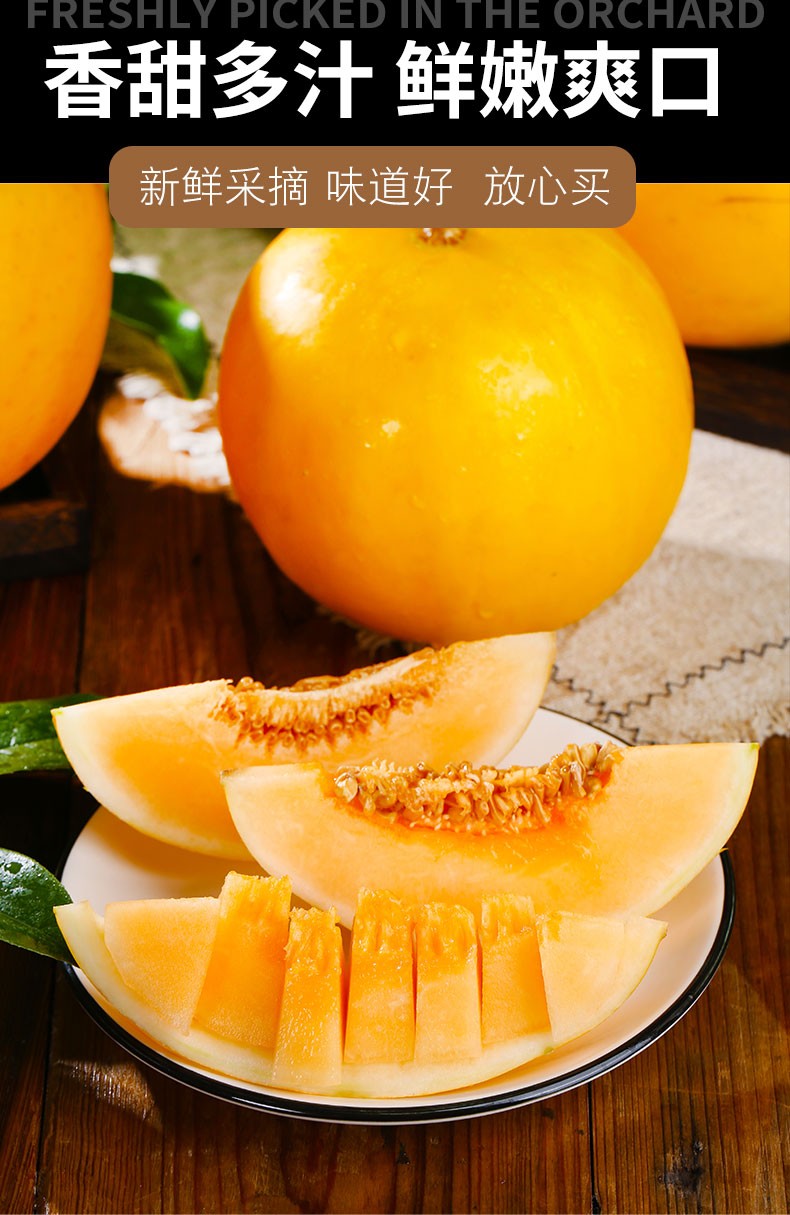 民勤黄金蜜瓜脆香哈密瓜水果新鲜整箱当季甜瓜 8-9斤【图片 价格 品牌