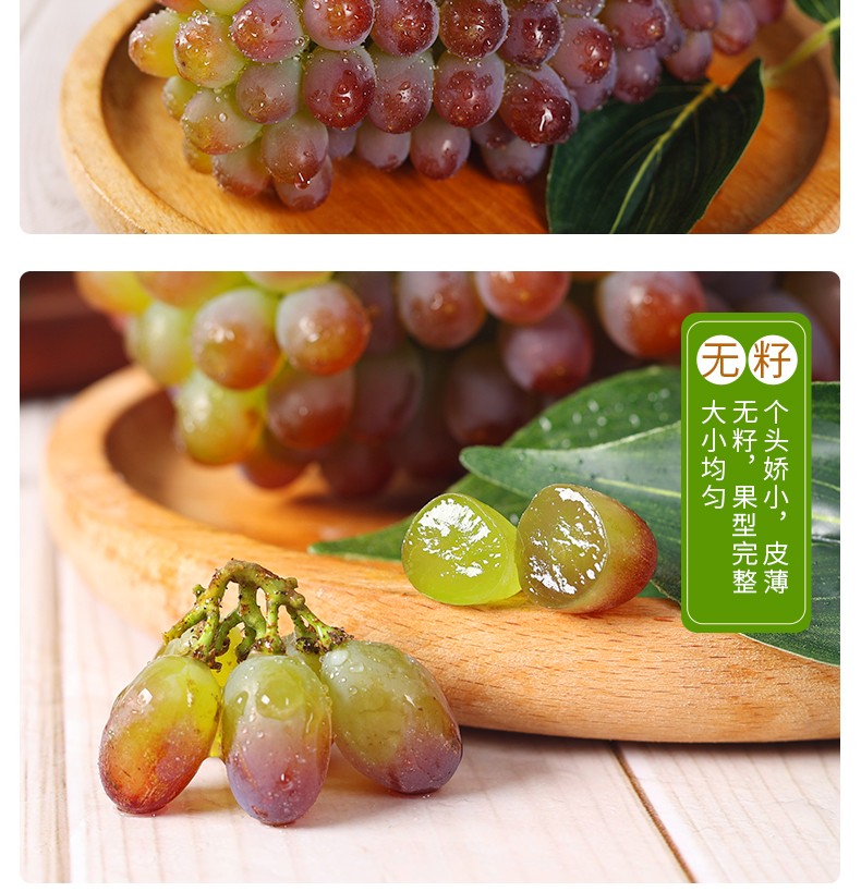 茉莉香葡萄带清香味新鲜当季孕妇水果葡萄玫瑰香无籽香甜300g尝鲜装