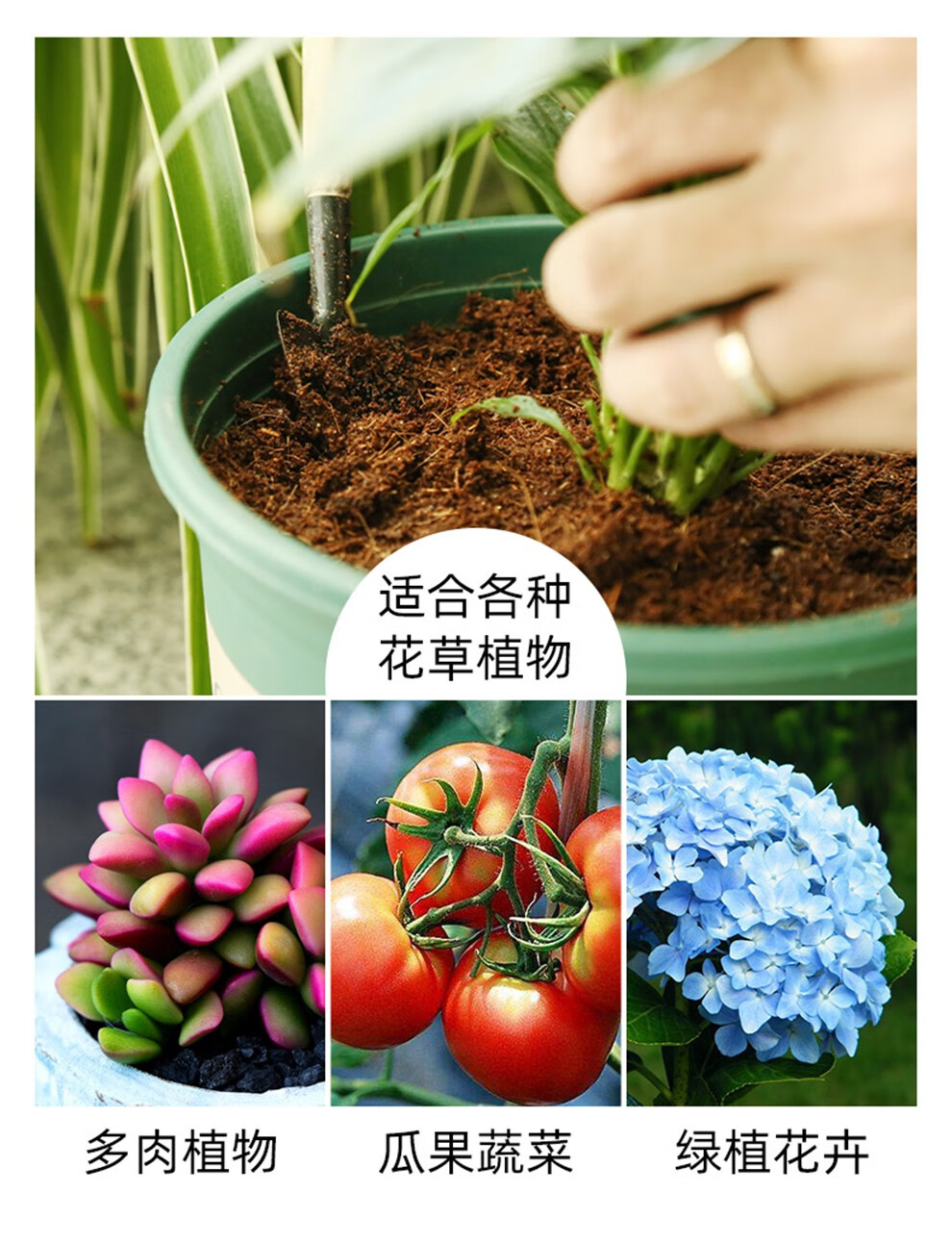 椰砖营养土通用椰土砖椰糠砖粗椰壳多肉大块脱盐种菜种花香菜50l营养