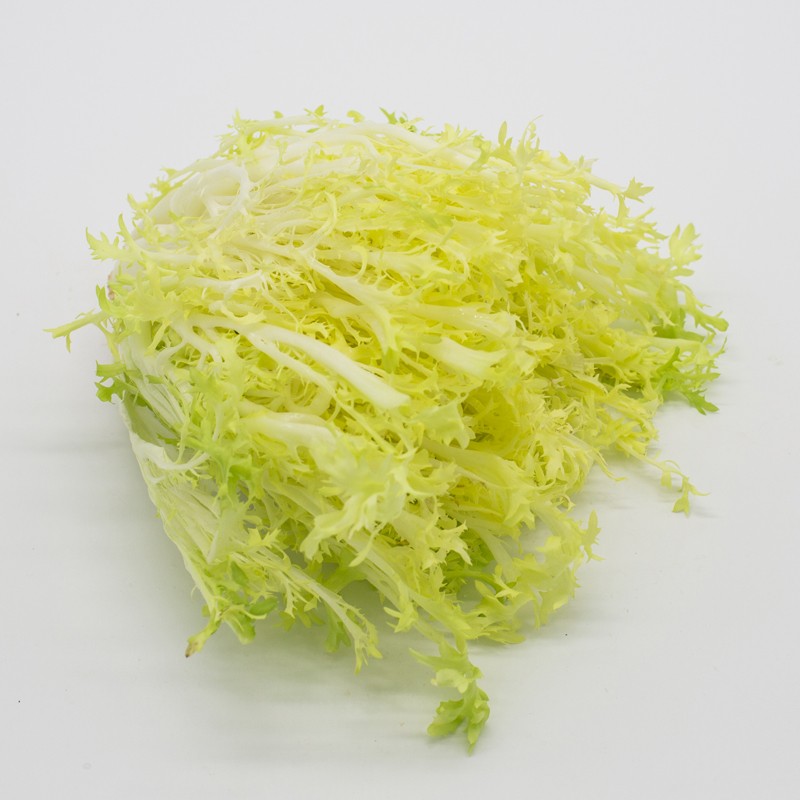 新鲜黄心苦叶苦菊生菜 狗牙生菜 九芽 沙拉蔬菜新鲜嫩黄心 500g