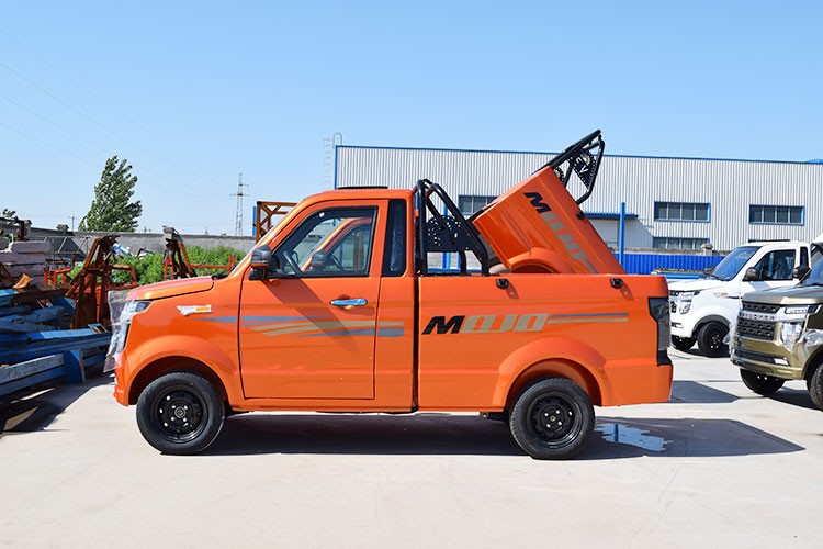 骑行运动 电动车 金宝来 成人电动四轮皮卡货车纯电动汽车成人四轮