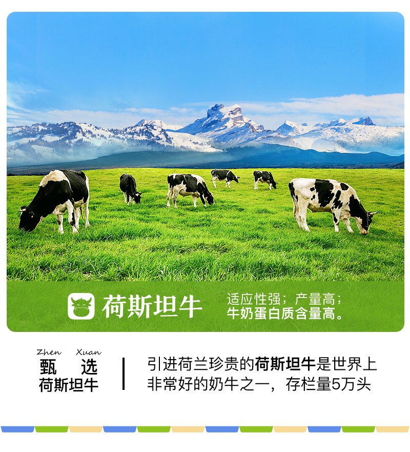 西牧天山纯牛奶新疆天山牧场全脂牛奶儿童营养早餐奶整箱天山牧语纯