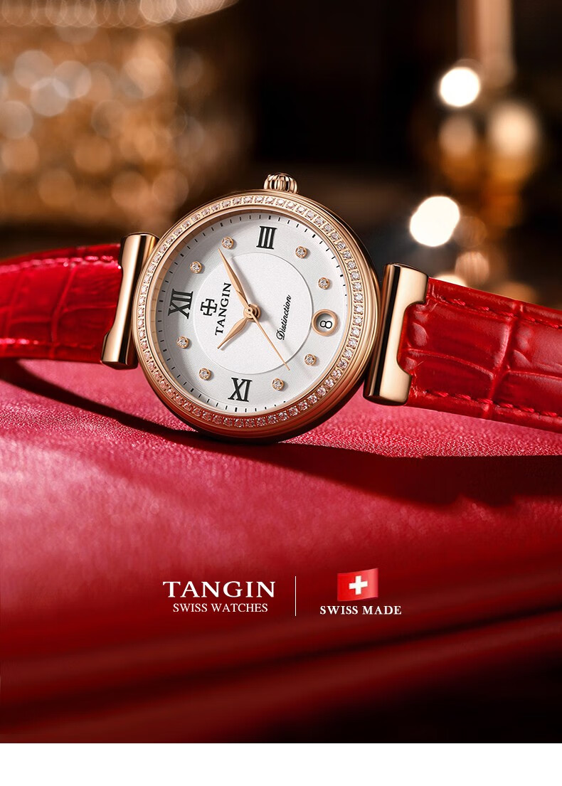 天珺(tangin) 手表 女士手表防水石英表休闲瑞表镶钻女表 时尚瑞士