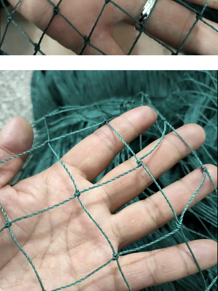 拉网渔网鱼塘拉鱼网加粗12股线3指拉网捕渔网拖鱼网托网隔网捕鱼抓