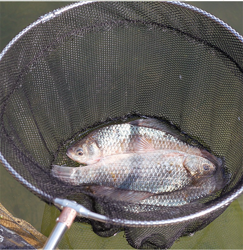 江悦抄网折叠捞鱼网兜钓鱼竿网头密眼网头大鱼网不锈钢抄网杆伸缩抄鱼