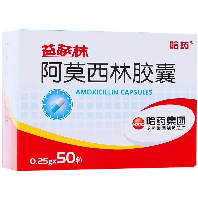 哈药 阿莫西林胶囊 0.