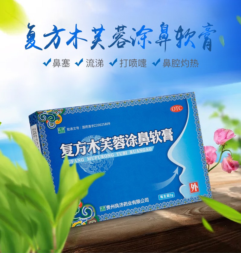 良济 复方木芙蓉涂鼻软膏 2g 5盒装