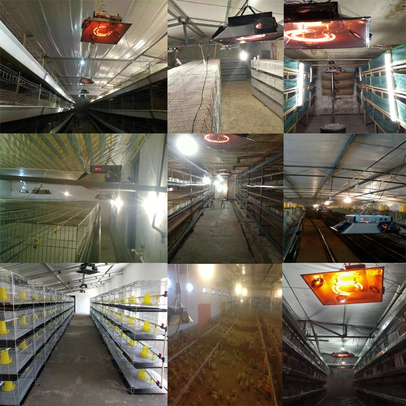 育雏保温器养殖加温机全自动养殖加温加热设备养鸡保温设备用品 普通