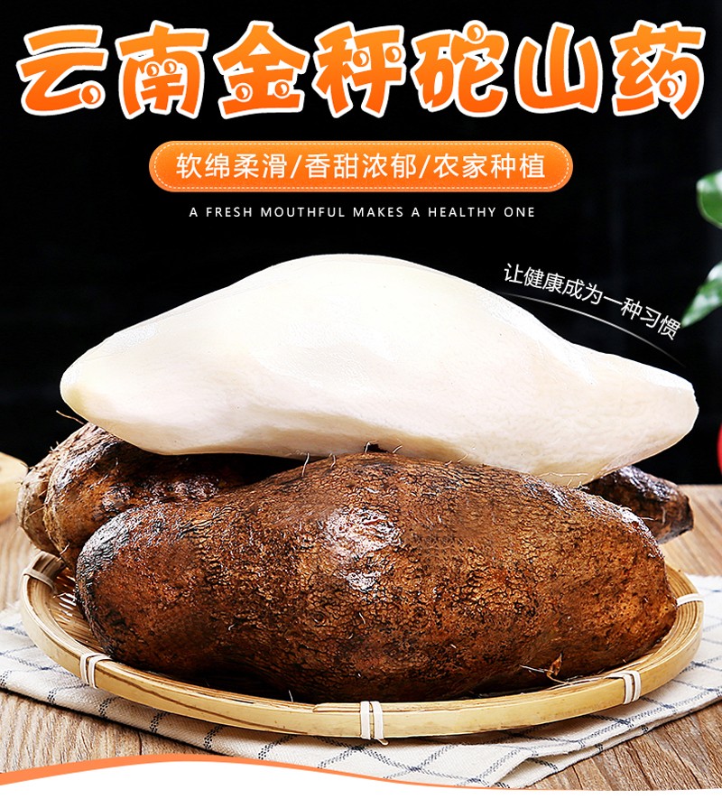 云南金秤砣山药农家自种当季蔬菜现挖杆毛薯扁山药软糯红甸糯米山药