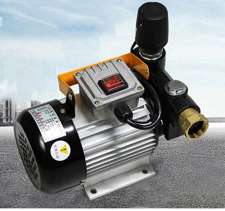 电动抽油泵车载柴油220v12v24v伏挖机大流量大功率自吸自动加油泵定制