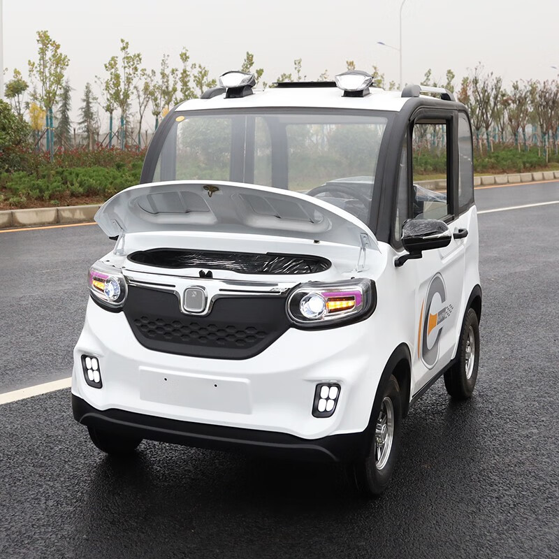 新款四轮电动代步车女性小型家用全封闭两门带棚电瓶车 整车 国标60v