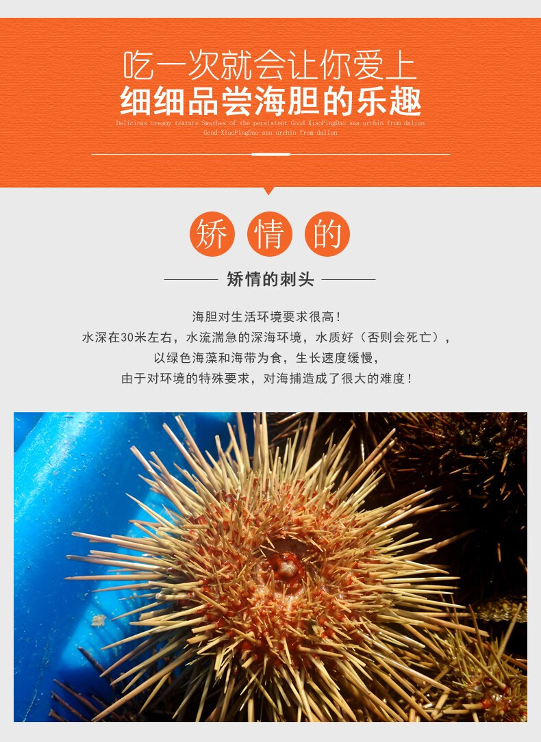 大连小平岛鲜活海产黄海胆 即食海胆刺身新鲜4-6只750g【图片 价格